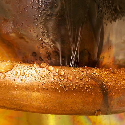 Same Day Shortsville Plumbing Service, drains, septic, trenchless.